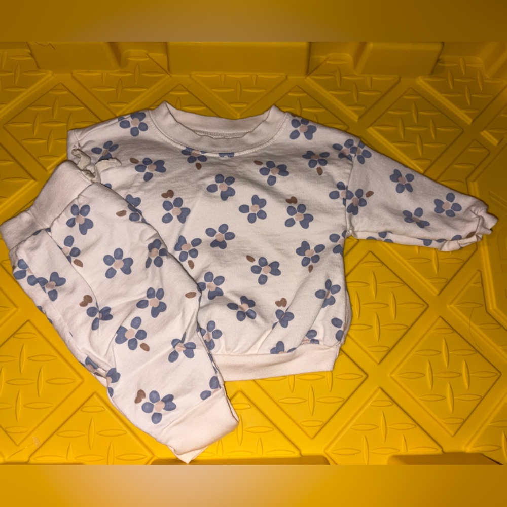 Carter's White and Blue Floral Sweatshirt & Pants Set